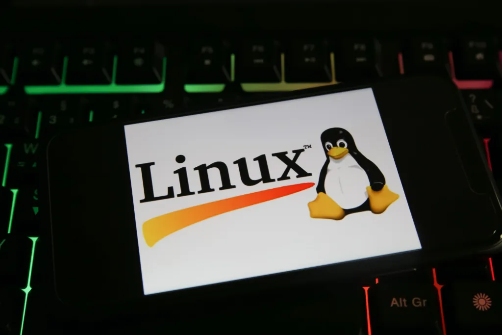 an image of linux for inode